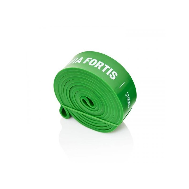 Via fortis resistance bands deals