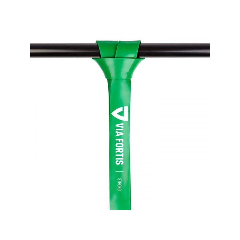 Via fortis resistance best sale bands
