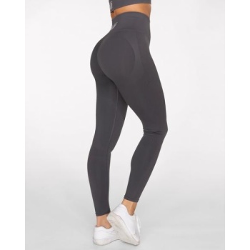 GAVELO Seamless BOOSTER Gun Metal Leggings