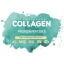 Sunwarrior Vegan Collagen Building Protein Peptides TESTER 25g