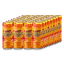 NOCCO Blood Orange (24pcs)